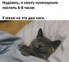 ����� �� ��������� �� 2�3 ����?