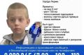 Волонтёры и полиция разыскивают пропавшего без вести ребёнка