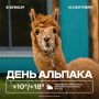 Доброе утро! Поздравляем шерстяных Диего, Эсперанза, Монтана и Ламбада с их праздником!