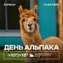 Доброе утро!. Поздравляем шерстяных Диего, Эсперанза, Монтана и Ламбада с их праздником!