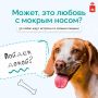 А вдруг именно здесь вас уже кто-то ждет?