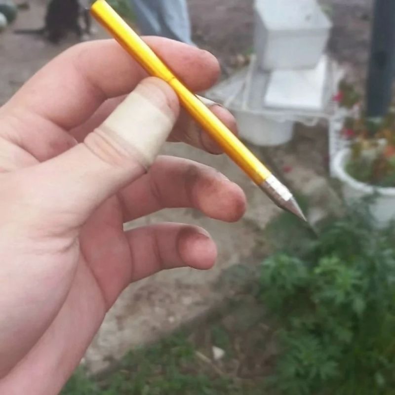 Живодер выстрелил в кота из арбалета в Прикамье Живодер выстрелил в кота из арбалета в Прикамье