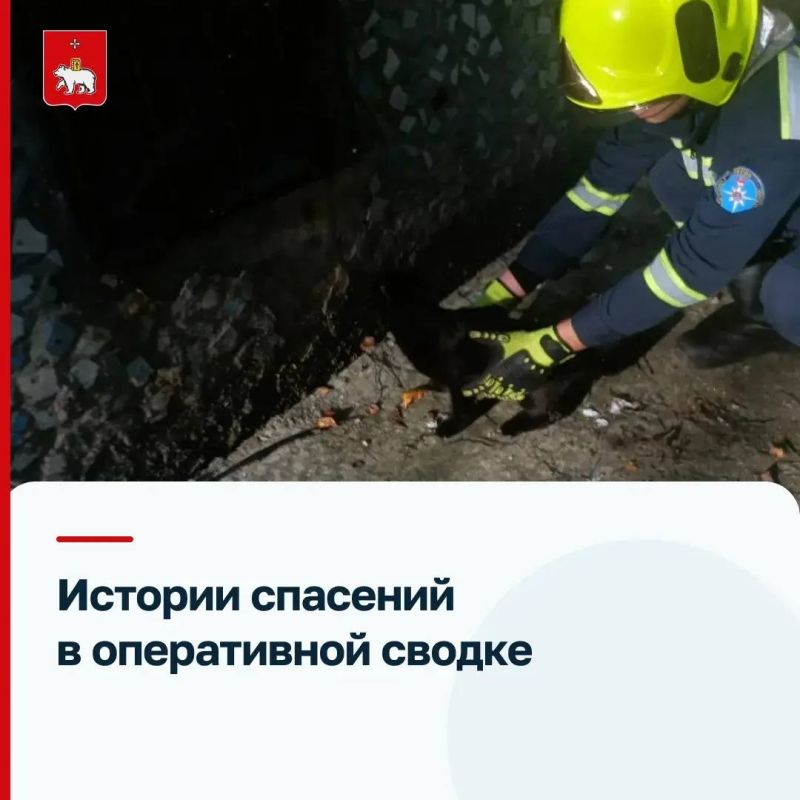 Эти истории могли закончиться трагедией, если бы на помощь не пришли наши спасатели