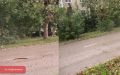 �� ������� #������������� ������ ����� ���� � ��������