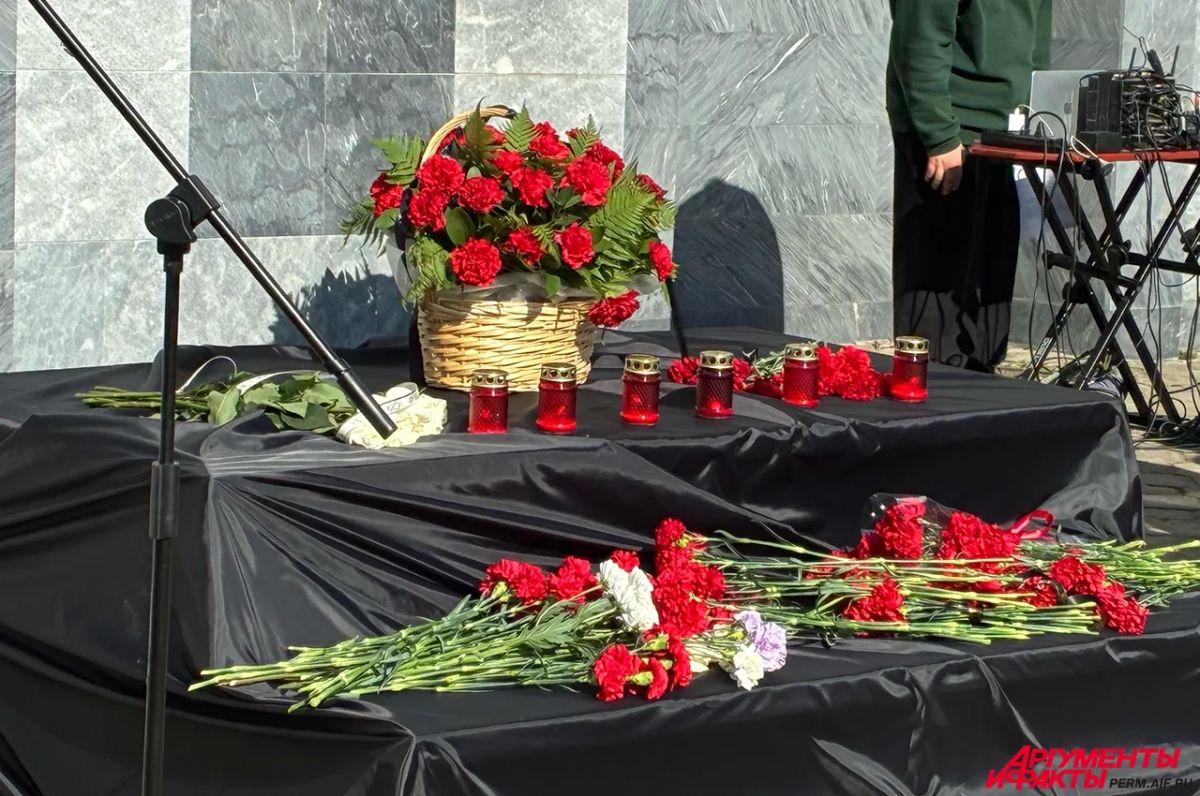 В Пермском университете открыли мемориальную табличку в память о погибших В Пермском университете открыли мемориальную табличку в память о погибших