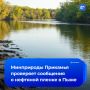 Нефтяную пленку заметили на реке Пыж