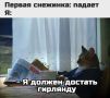 ������ ���� � �������� ���� ��������� ��� � ��� ��������