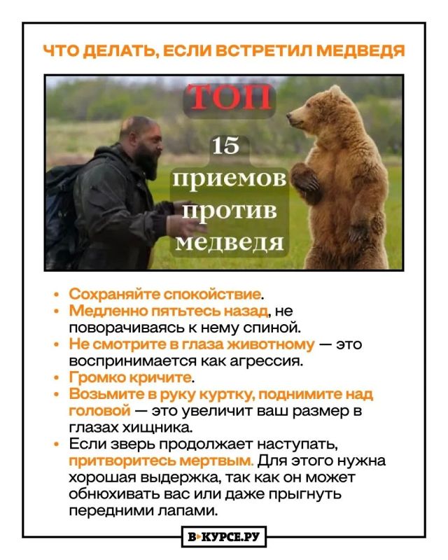 В России в 2026 году насчитывается 307,9 тыс В России в 2026 году насчитывается 307,9 тыс