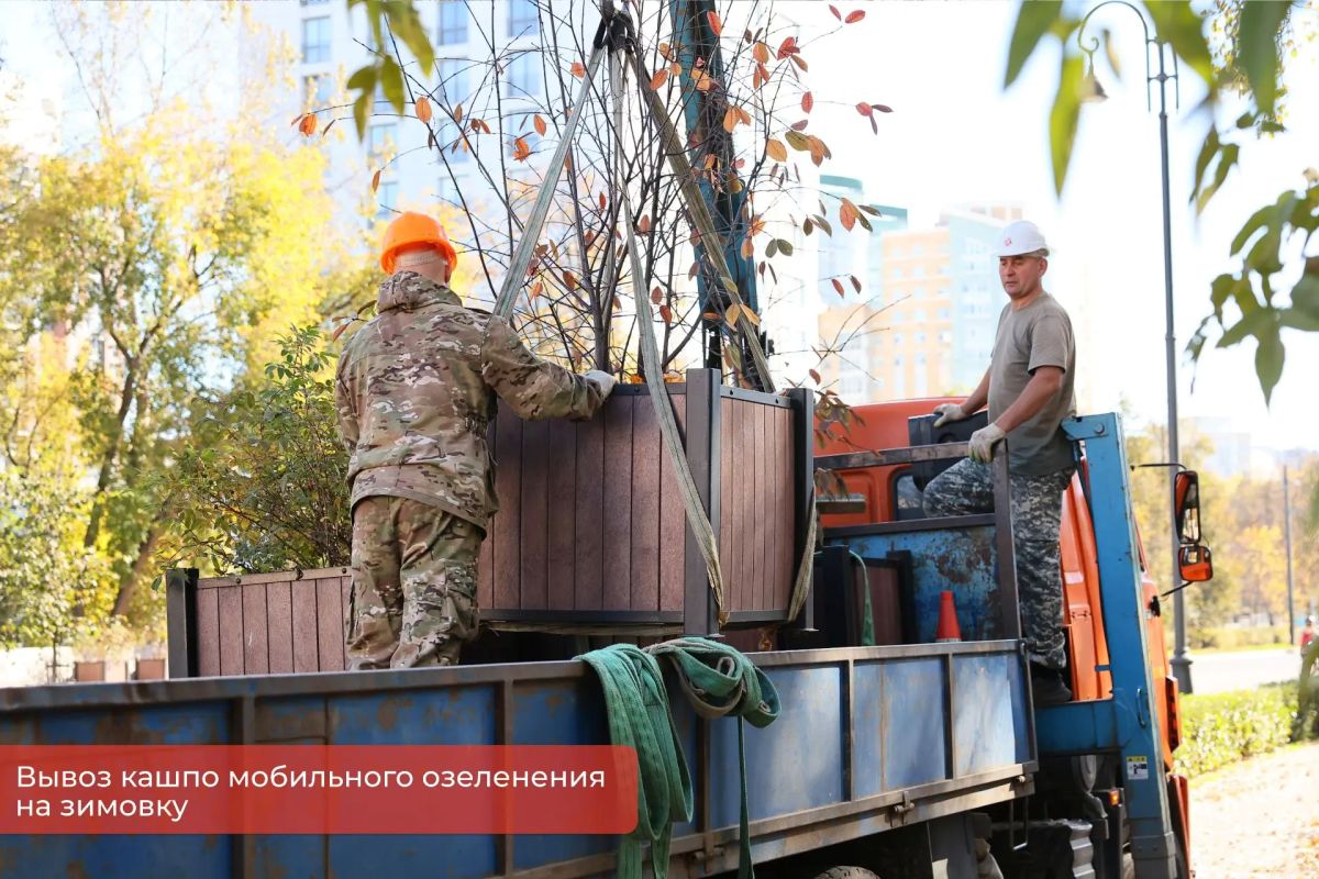 Эдуард Соснин: В рамках проекта #Пермьвпорядке начался плановый вывоз мобильного озеленения с городских улиц на зимнее хранение. Эдуард Соснин: В рамках проекта #Пермьвпорядке начался плановый вывоз мобильного озеленения с городских улиц на зимнее хранение.