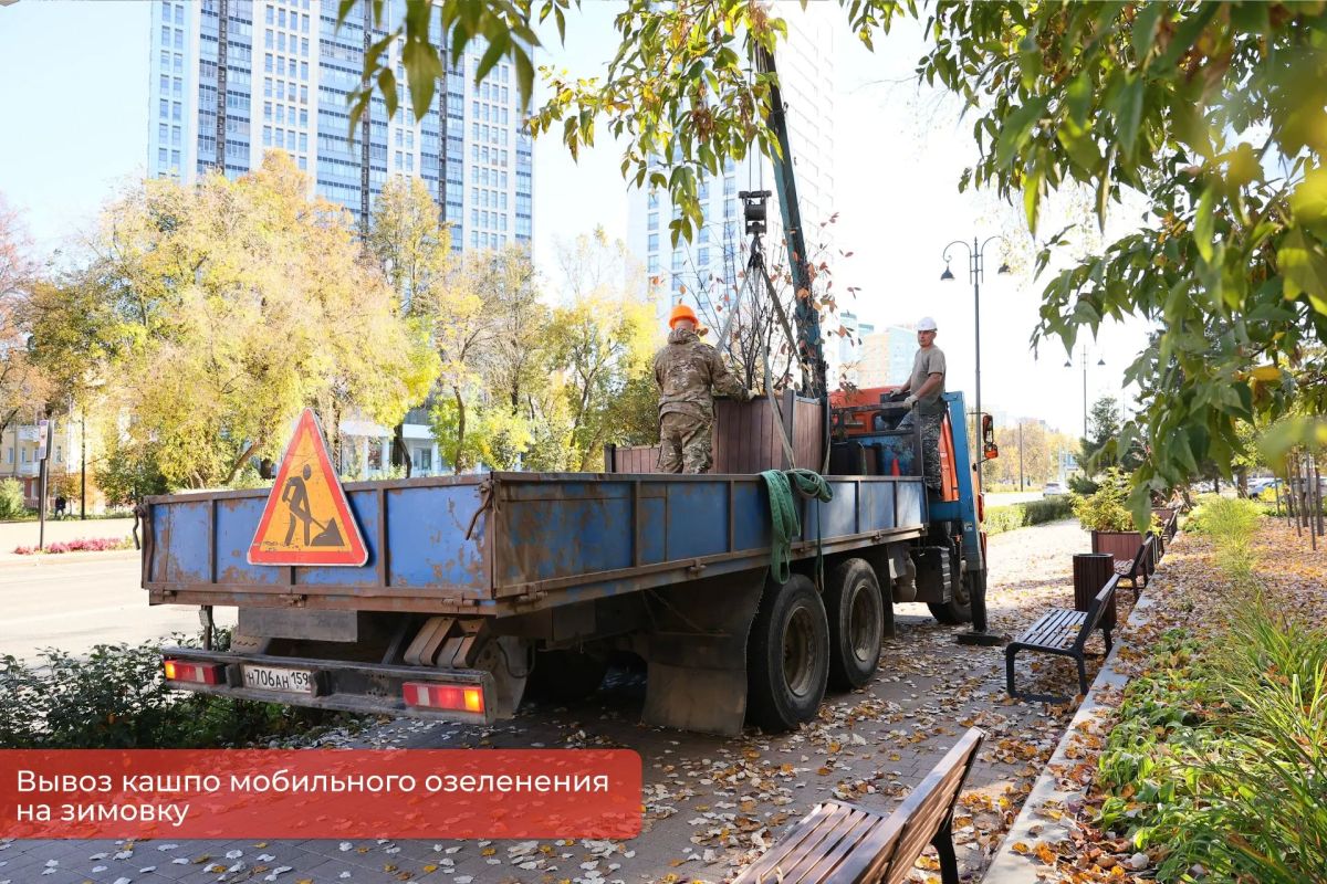Эдуард Соснин: В рамках проекта #Пермьвпорядке начался плановый вывоз мобильного озеленения с городских улиц на зимнее хранение. Эдуард Соснин: В рамках проекта #Пермьвпорядке начался плановый вывоз мобильного озеленения с городских улиц на зимнее хранение.