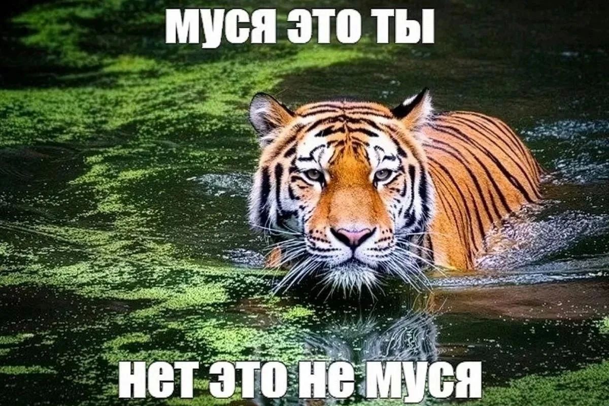 Сегодня в России отмечается День интернета По такому случаю расчехлили несколько легендарных мемов Рунета, которые, кажется, будут актуальными всегда. Давайте вспомним, с чего мы, как говорится, орали и над чем кекали «А я... Сегодня в России отмечается День интернета По такому случаю расчехлили несколько легендарных мемов Рунета, которые, кажется, будут актуальными всегда. Давайте вспомним, с чего мы, как говорится, орали и над чем кекали «А я...