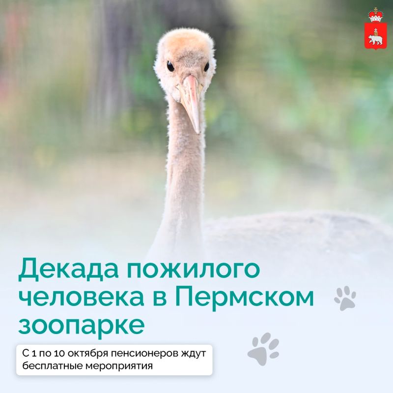 Осенью в Пермском зоопарке будет особенно много поводов для встреч