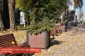 Эдуард Соснин: В рамках проекта #Пермьвпорядке начался плановый вывоз мобильного озеленения с городских улиц на зимнее хранение.
