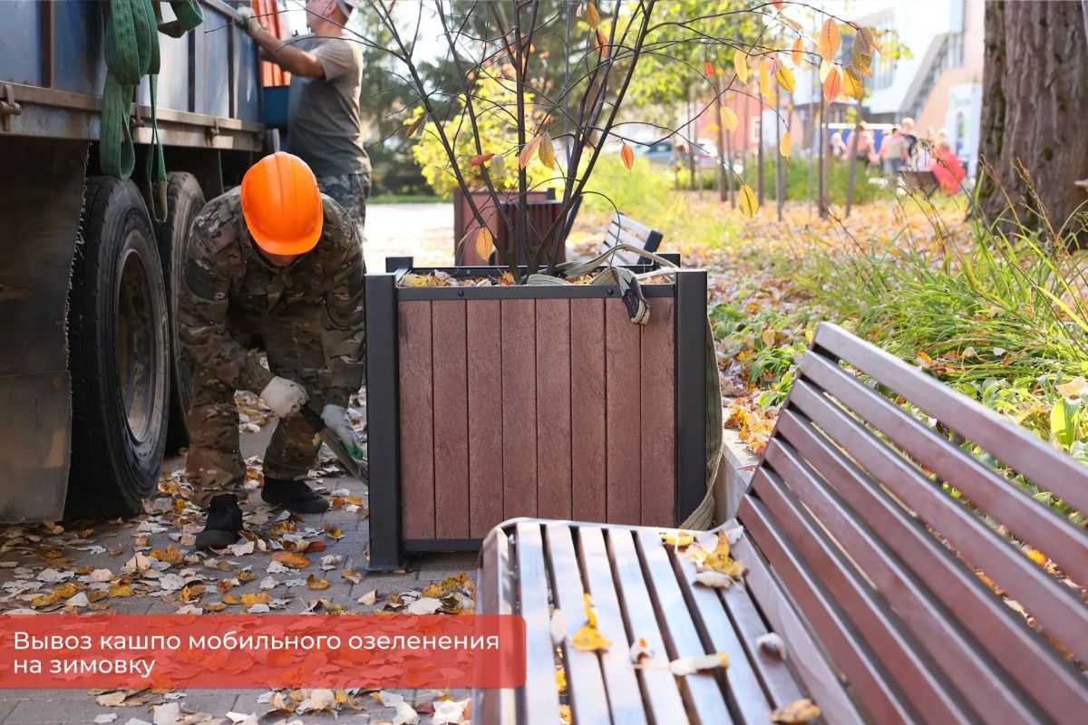 Эдуард Соснин: В рамках проекта #Пермьвпорядке начался плановый вывоз мобильного озеленения с городских улиц на зимнее хранение. Эдуард Соснин: В рамках проекта #Пермьвпорядке начался плановый вывоз мобильного озеленения с городских улиц на зимнее хранение.