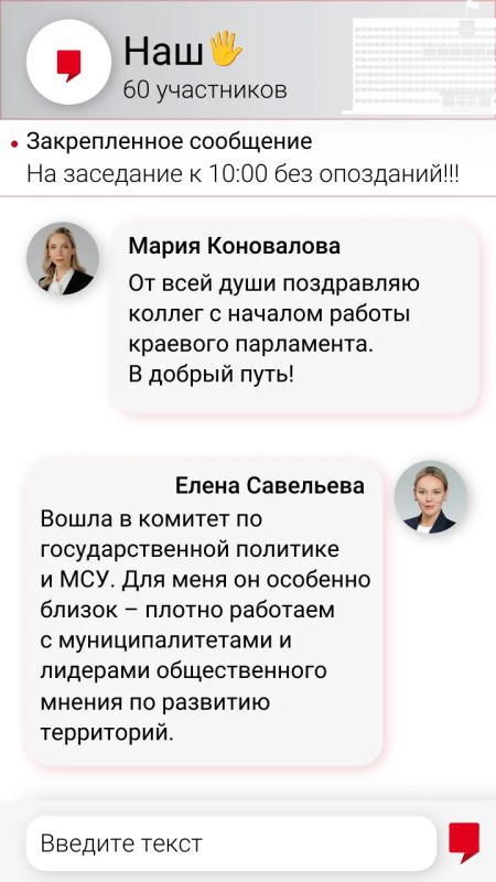 «ДепуЧаты»: о чем пишут депутаты в соцсетях?