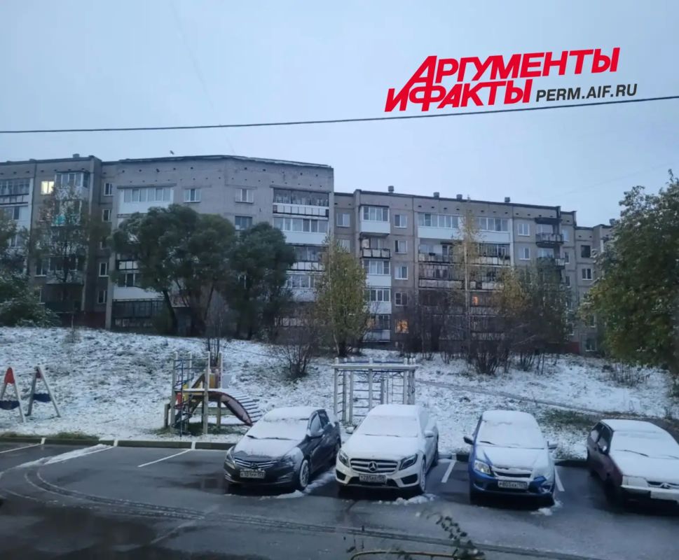 В Березниках выпал первый снег