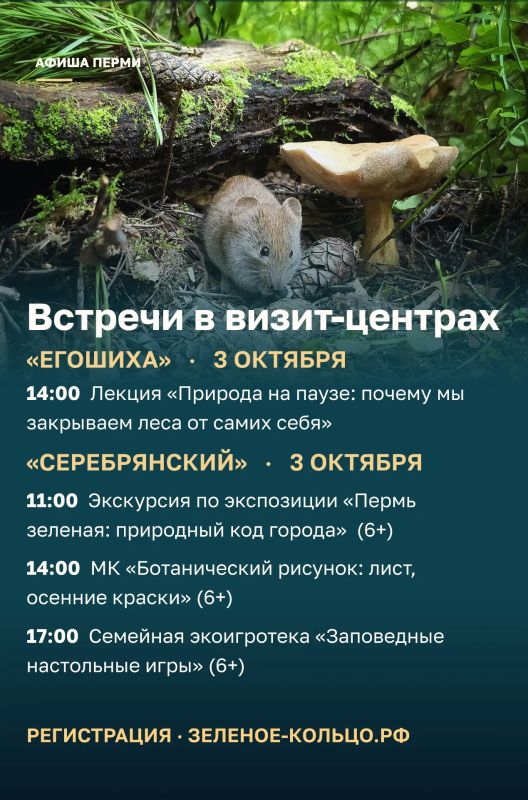 Эдуард Соснин: #Афиша_Перми. . В первые выходные октября пермяков ждут выставки, концерты и спортивные события Эдуард Соснин: #Афиша_Перми. . В первые выходные октября пермяков ждут выставки, концерты и спортивные события