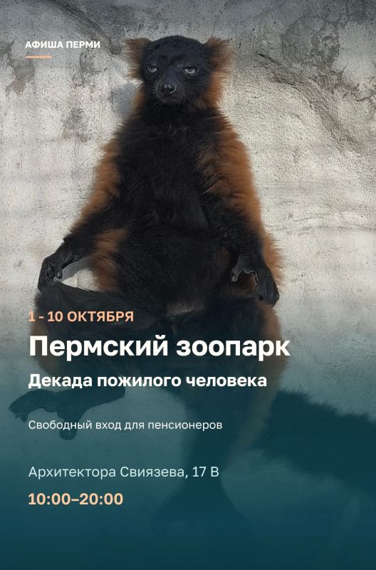 Эдуард Соснин: #Афиша_Перми. . В первые выходные октября пермяков ждут выставки, концерты и спортивные события Эдуард Соснин: #Афиша_Перми. . В первые выходные октября пермяков ждут выставки, концерты и спортивные события