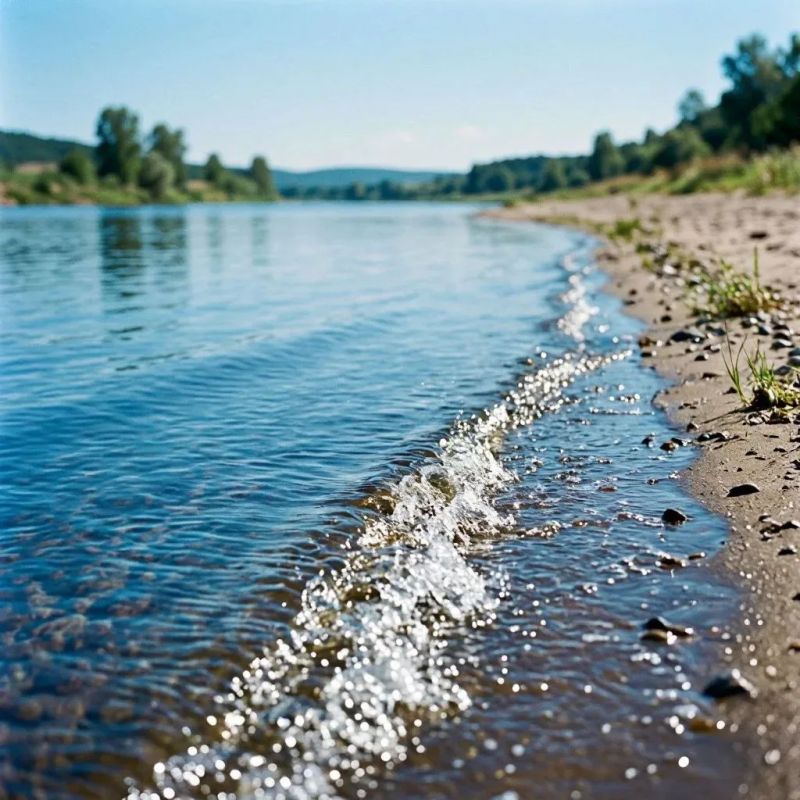 Незаконная приватизация береговой полосы Камского водохранилища пресечена по иску природоохранного прокурора