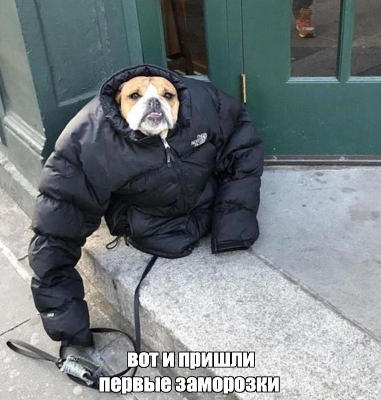 Заморозки прошли по всей территории Пермского края