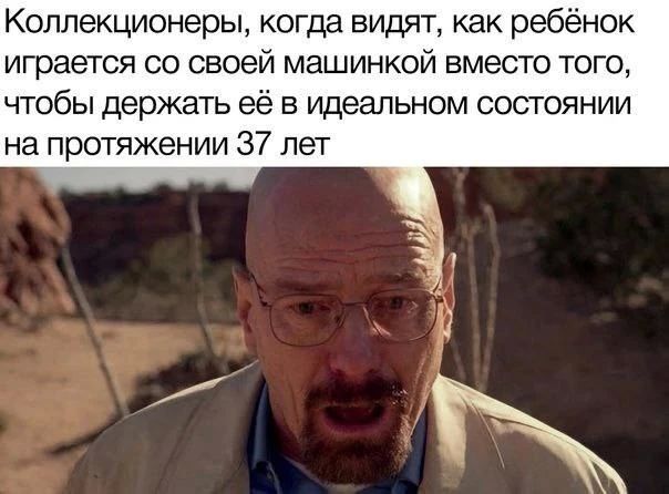Самые странные коллекционеры мира