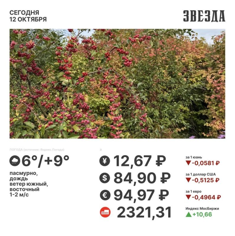 Доброе утро, Пермь!. Сегодня будет пасмурно и прохладно