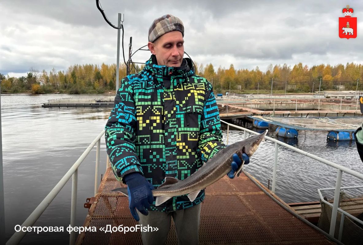 Местное производство с большим будущим Местное производство с большим будущим