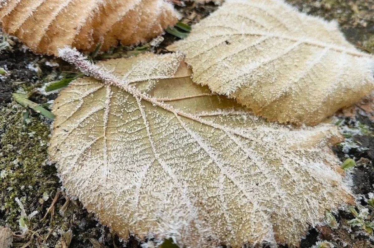 До -3°C похолодает в начале следующей недели в Прикамье