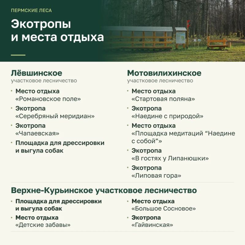 Эдуард Соснин: Отдых в лесу — особо ценится пермяками, как жителями любого мегаполиса Эдуард Соснин: Отдых в лесу — особо ценится пермяками, как жителями любого мегаполиса