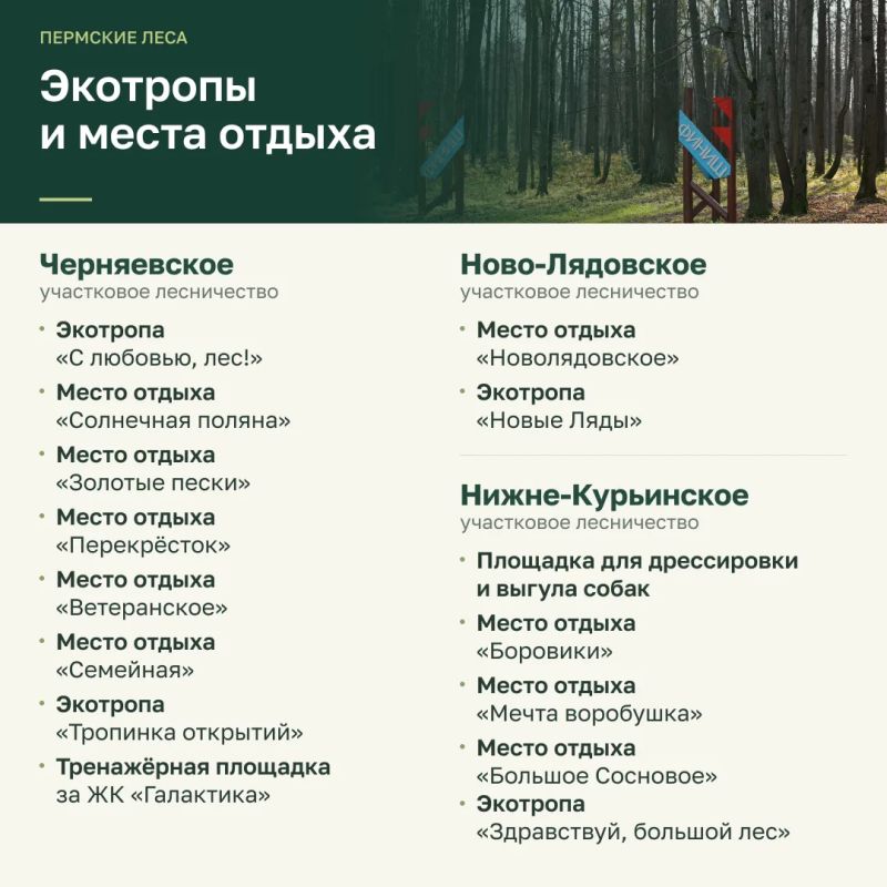 Эдуард Соснин: Отдых в лесу — особо ценится пермяками, как жителями любого мегаполиса Эдуард Соснин: Отдых в лесу — особо ценится пермяками, как жителями любого мегаполиса