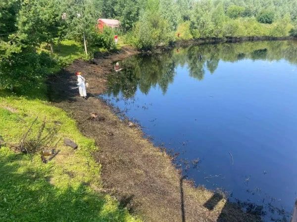 В Перми ликвидировали последствия разлива нефти в реках Пыж и Мулянка