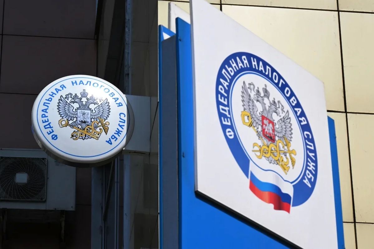 Крупнейший налоговый долг физлица в Прикамье составил 267 млн рублей
