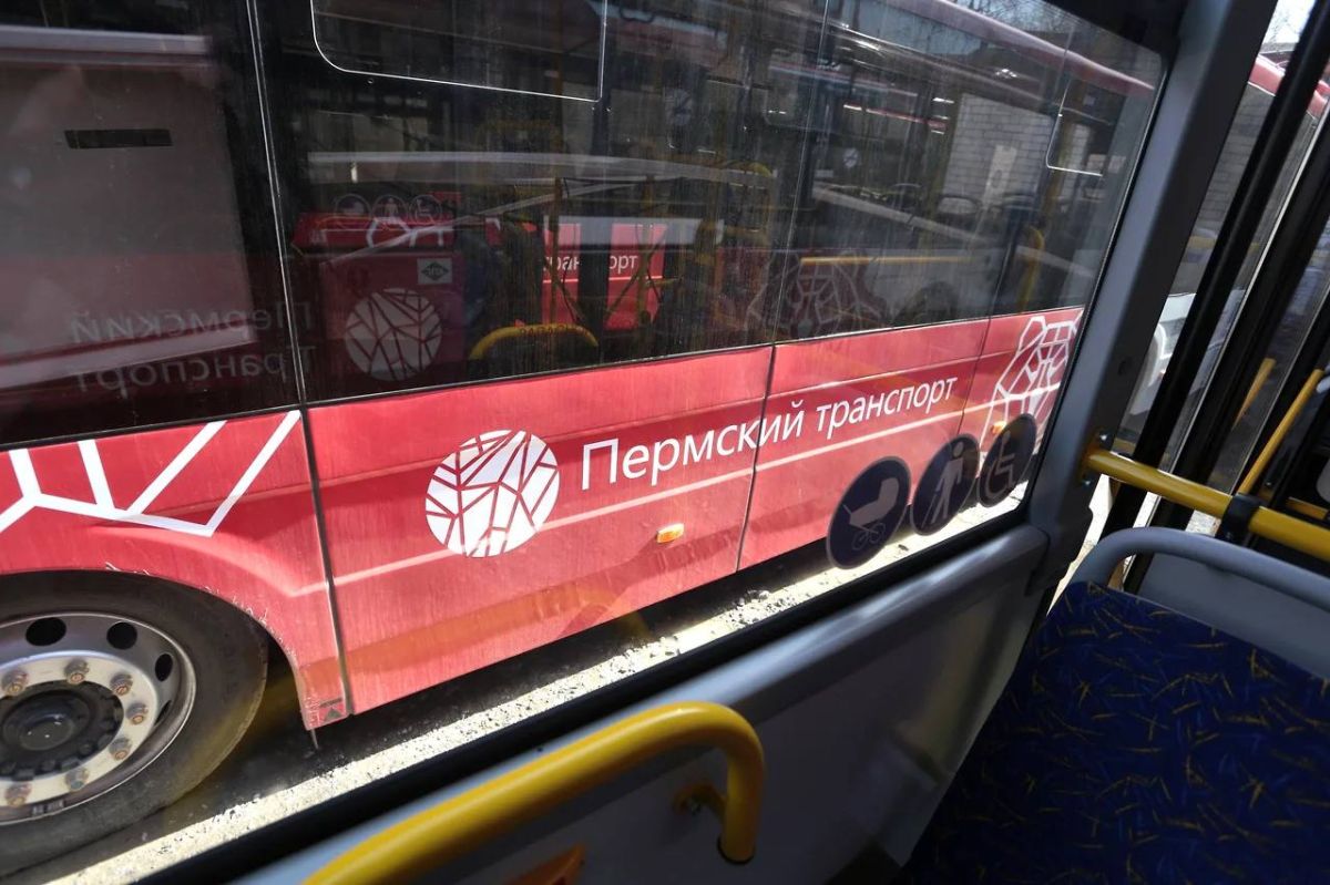 Пермяки добираются до работы на общественном транспорте чаще, чем на личном авто