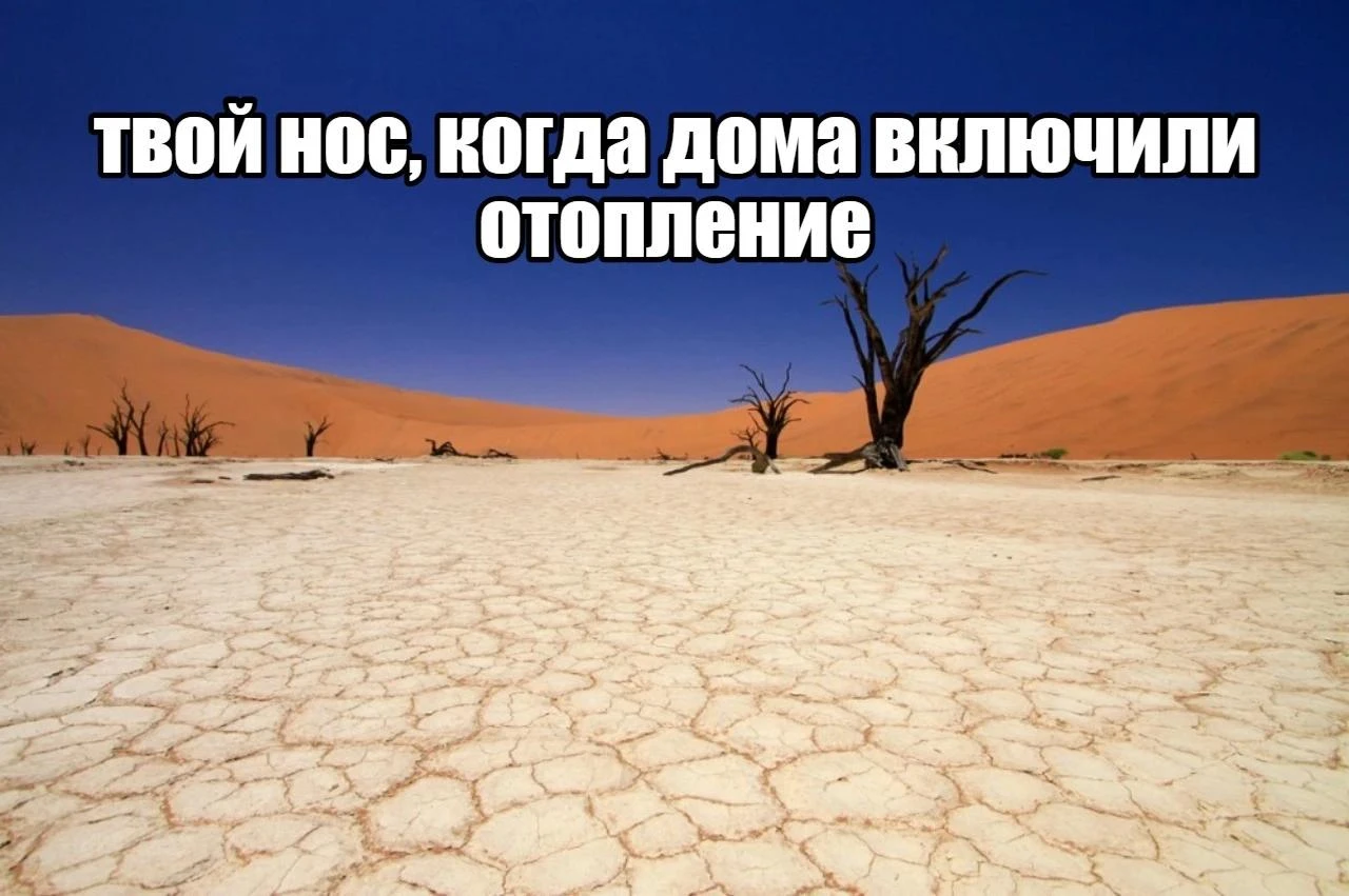 Сухость, корки и постоянные простуды: как уберечь нос в сезон отопления